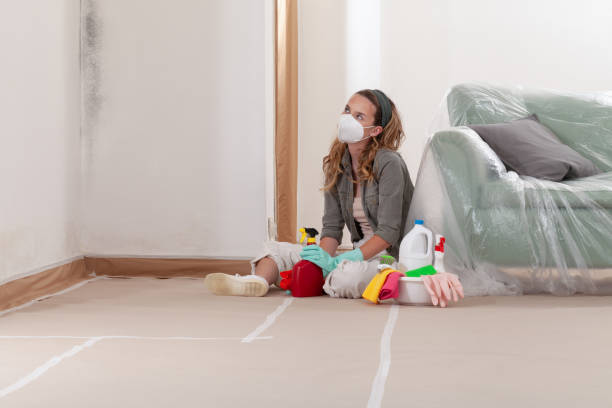 Reliable Hvac And Air Duct Mold Remediation contractor in Reading, MI by 24 Hour Mold Removal